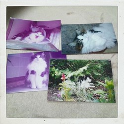 ファイル 1423-1.jpg