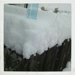 ファイル 1439-1.jpg