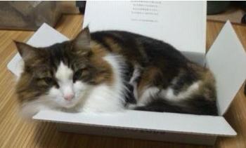 ファイル 283-4.jpg