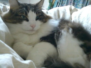 ファイル 689-1.jpg