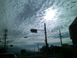 ファイル 742-2.jpg